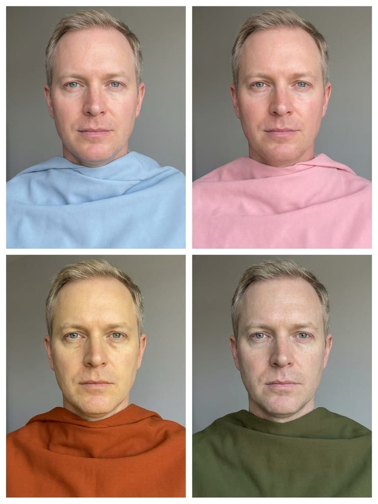 The same face four times: draped in powder blue and light rose pink on the top row, and in burnt orange and deep olive on the bottom row.